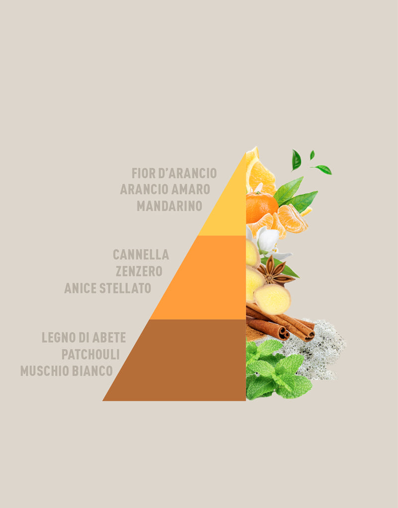 Candela Profumata Arancio e cannella 350g