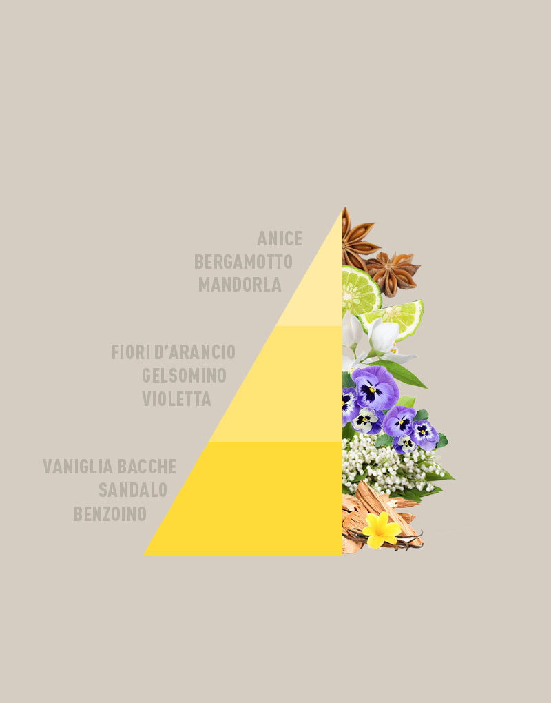 Candela Profumata Vaniglia e benzoino 350g
