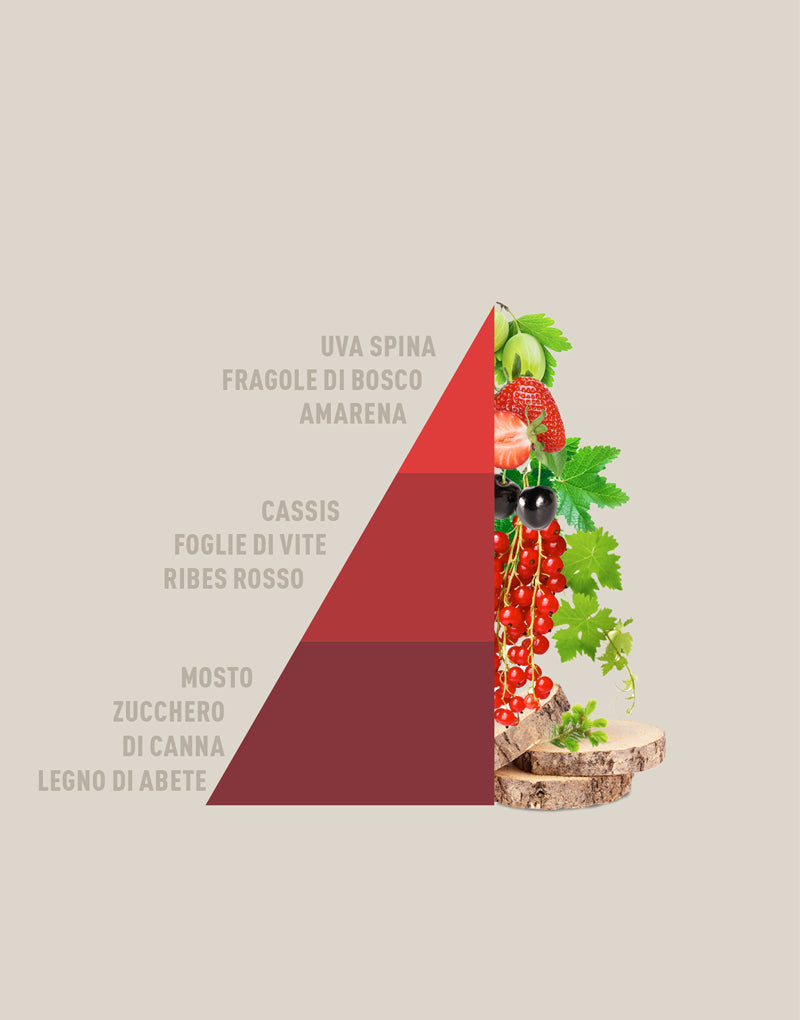 Candela Profumata Vigneto rosso 350g