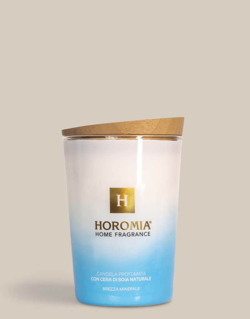 Candela Profumata Brezza minerale 350g