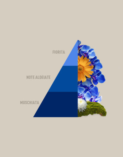 Profuma Bucato Blue