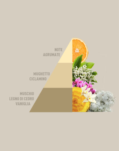 Profuma Bucato Gold Argan