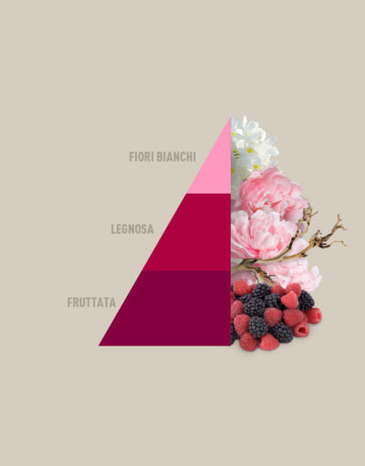 Profuma Bucato Petali di Peonia