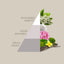 Profuma Bucato White