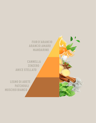 Diffusore a Bastoncini Arancio e cannella 200ml