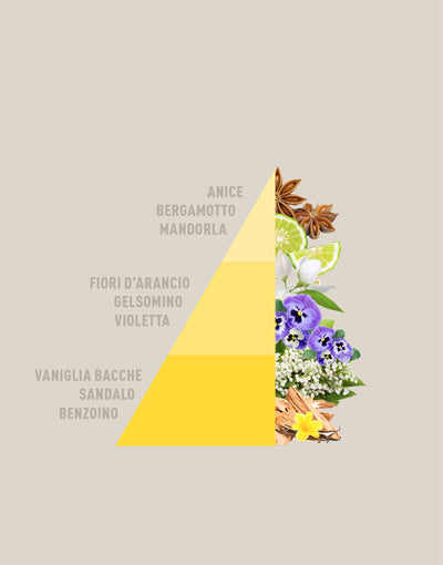 Diffusore a Bastoncini Vaniglia e benzoino 200ml