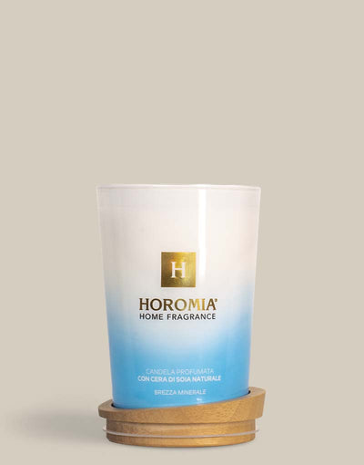 Candela Profumata Brezza minerale 350g